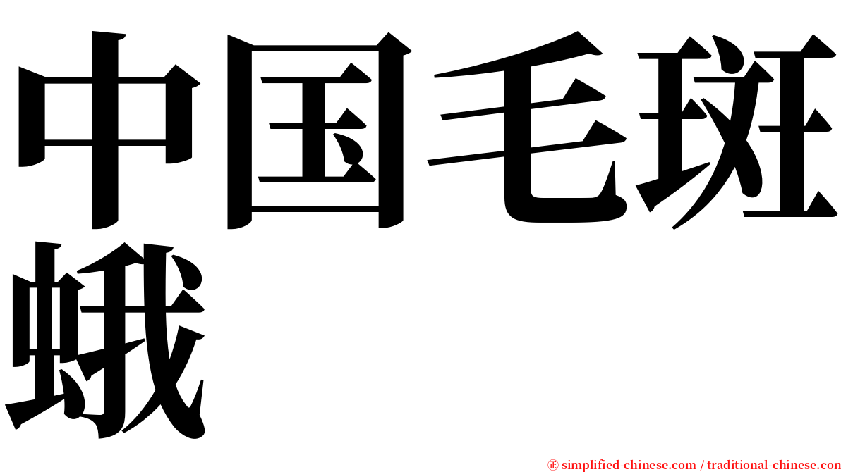 中国毛斑蛾 serif font