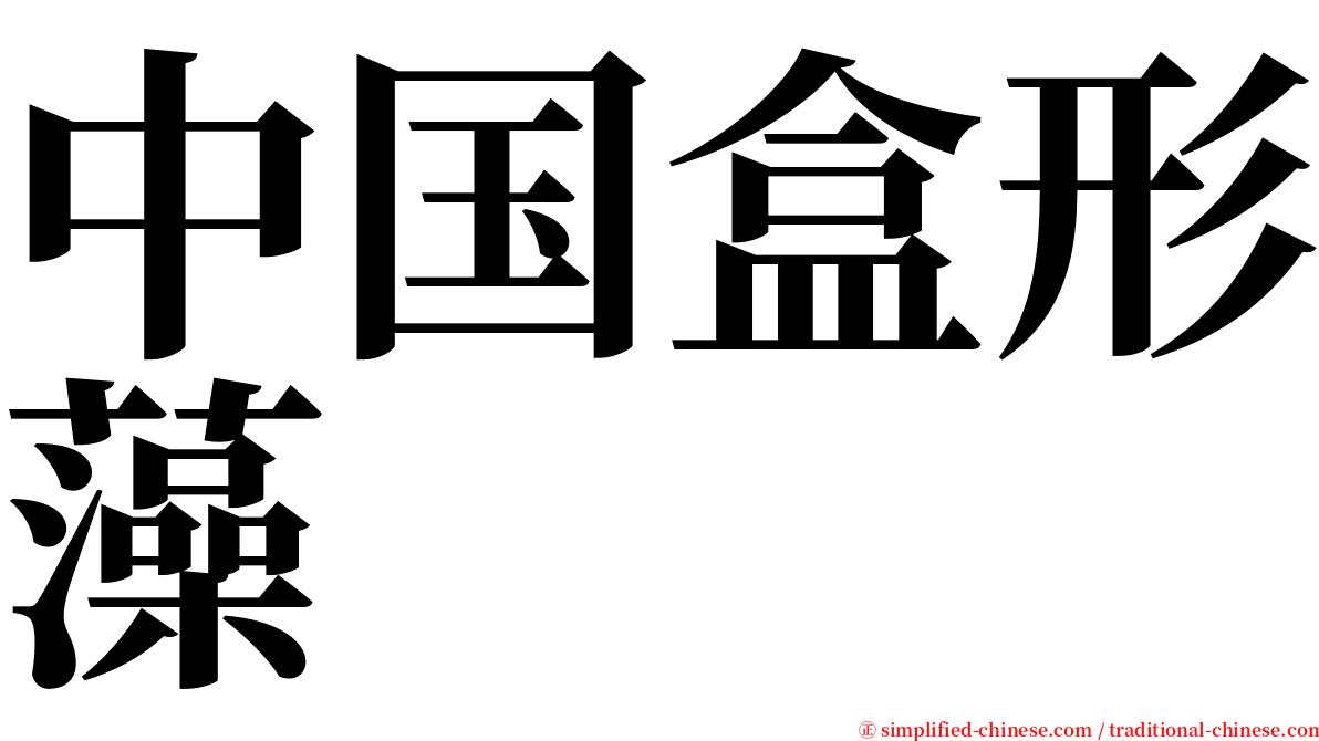 中国盒形藻 serif font