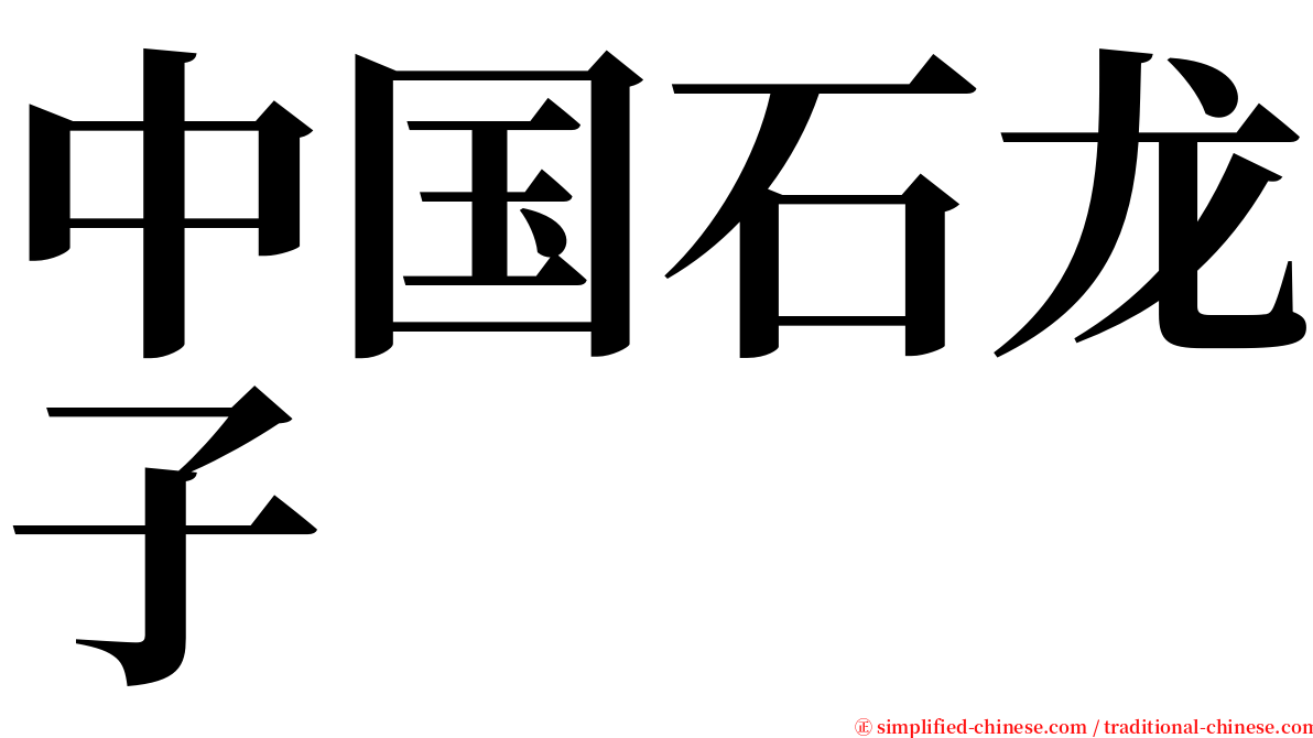 中国石龙子 serif font