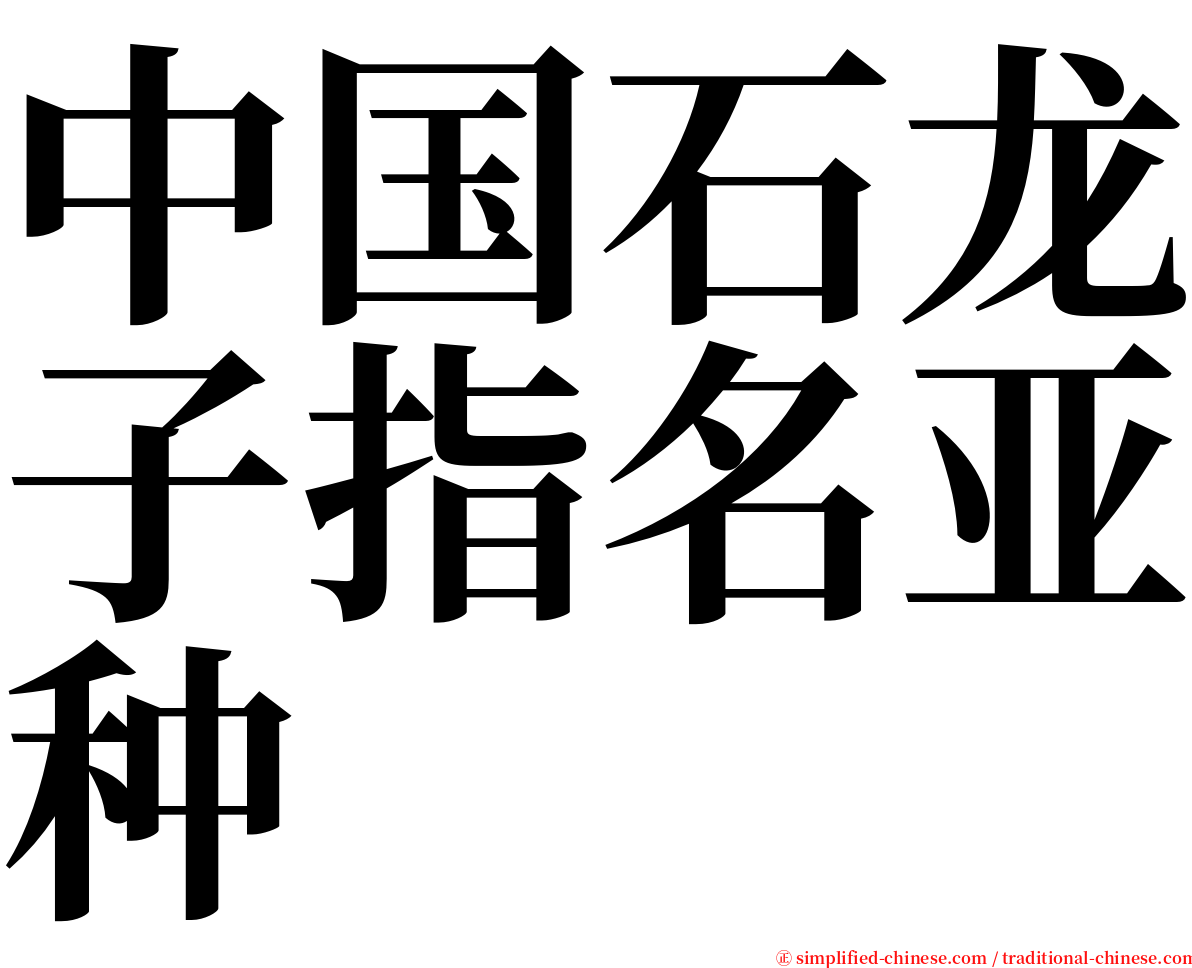 中国石龙子指名亚种 serif font