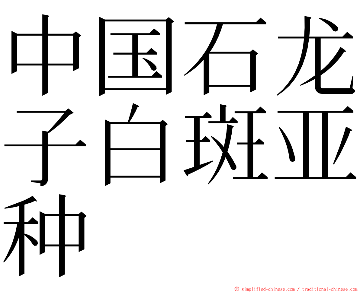 中国石龙子白斑亚种 ming font