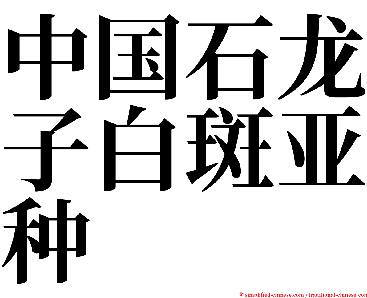 中国石龙子白斑亚种 serif font