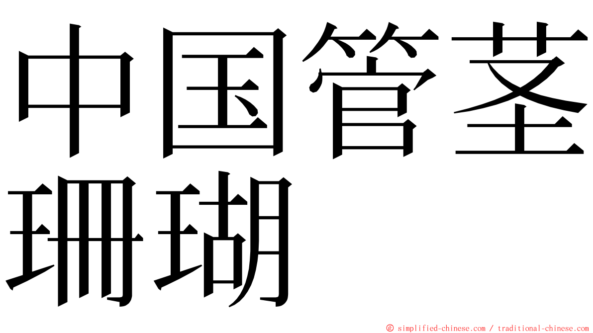 中国管茎珊瑚 ming font