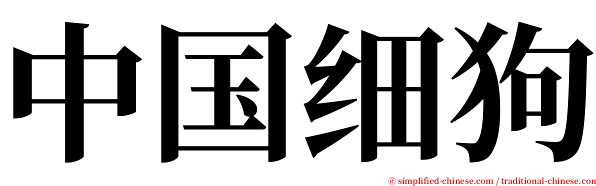 中国细狗 serif font