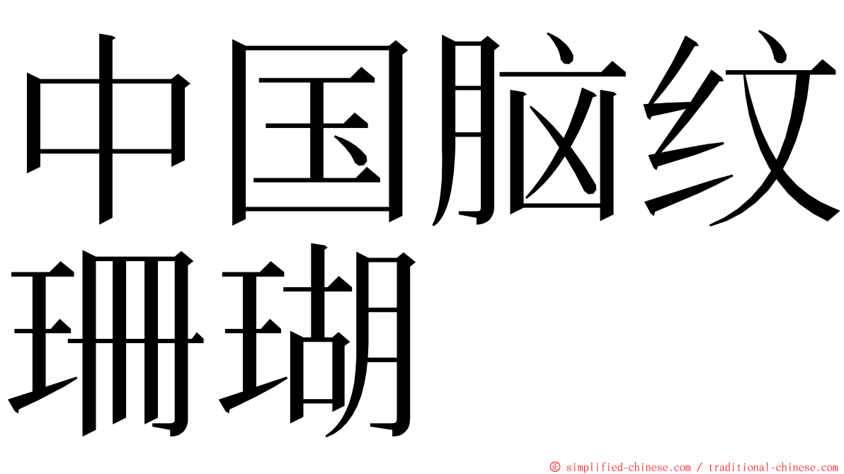 中国脑纹珊瑚 ming font