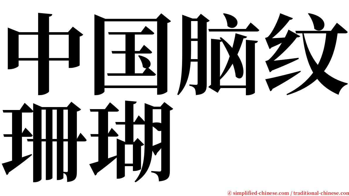 中国脑纹珊瑚 serif font