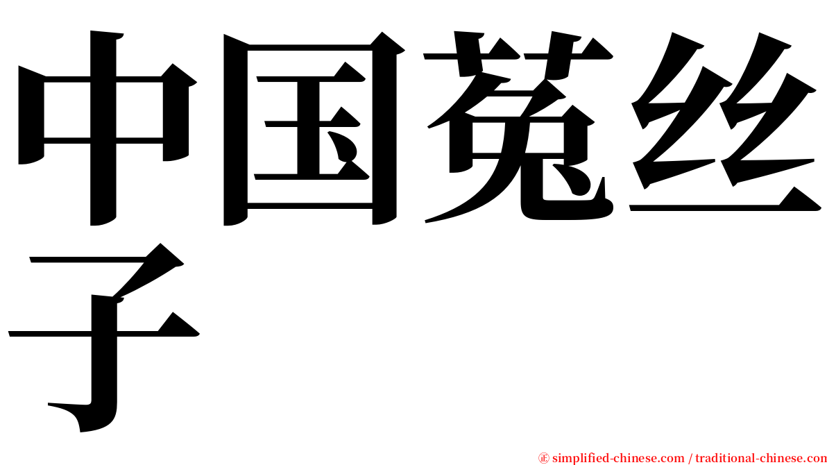 中国菟丝子 serif font