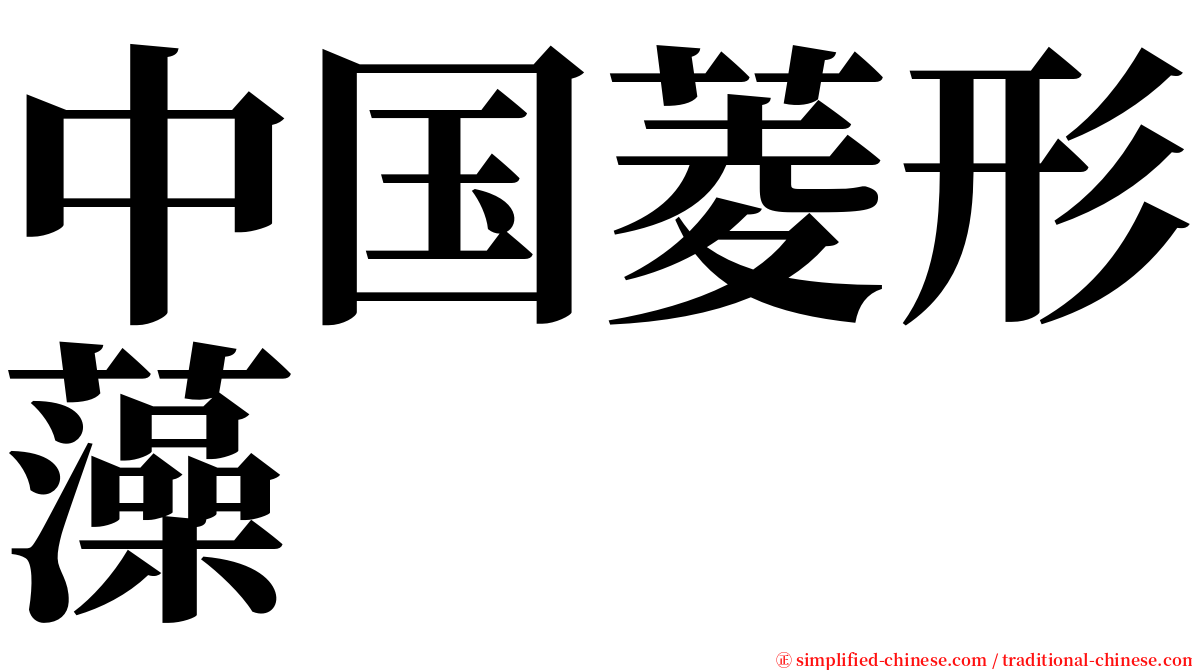 中国菱形藻 serif font