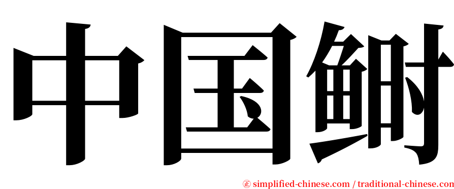 中国鲥 serif font