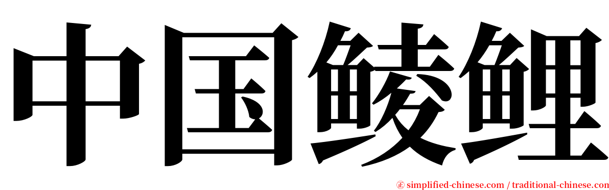 中国鲮鲤 serif font