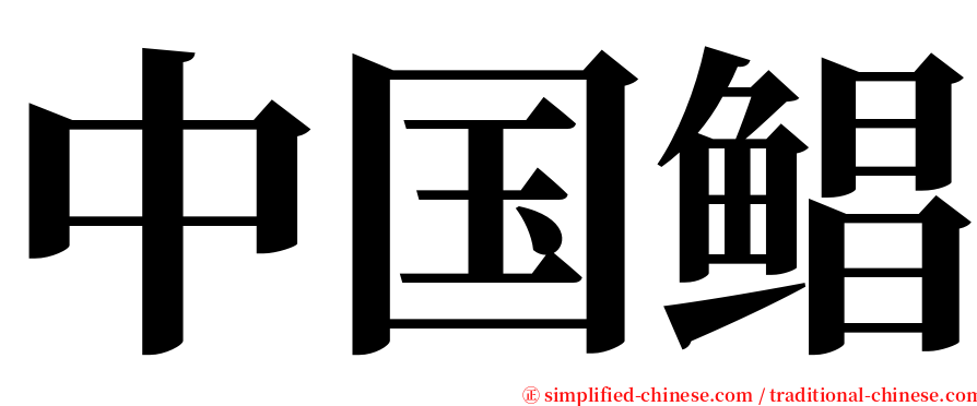 中国鲳 serif font