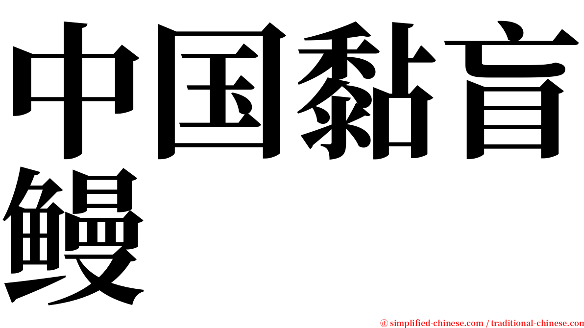 中国黏盲鳗 serif font