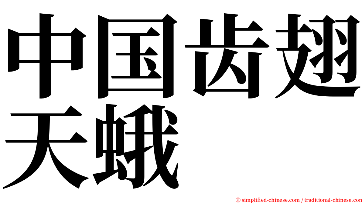 中国齿翅天蛾 serif font