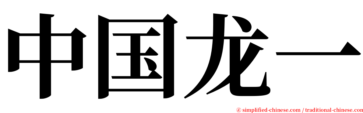 中国龙一 serif font