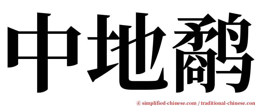 中地鹬 serif font