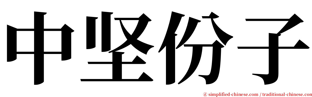 中坚份子 serif font