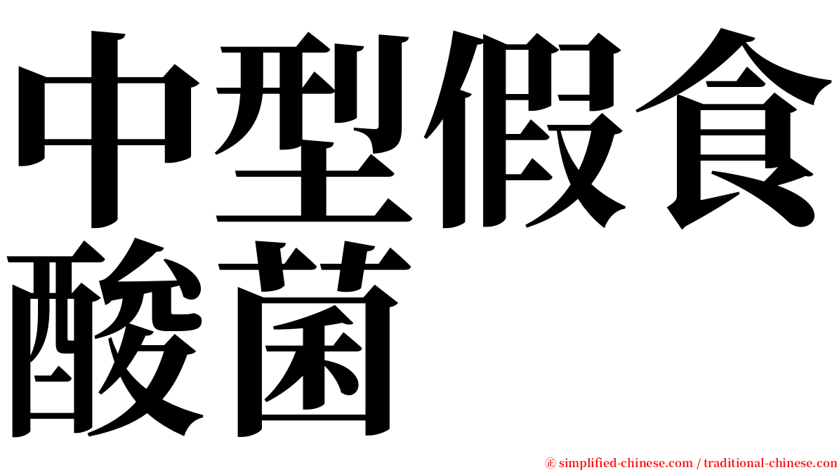 中型假食酸菌 serif font