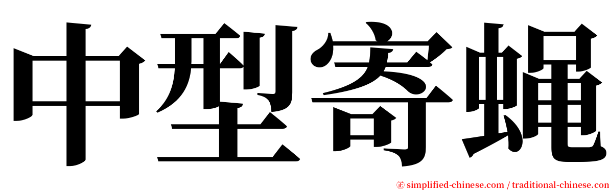 中型寄蝇 serif font