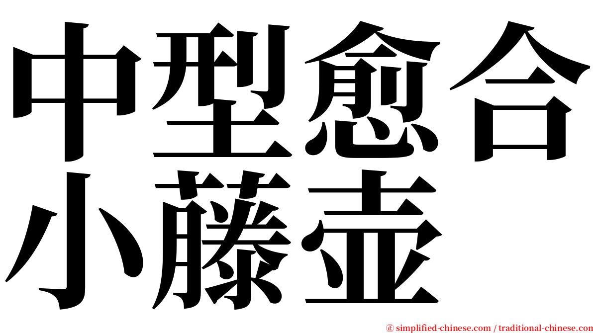 中型愈合小藤壶 serif font