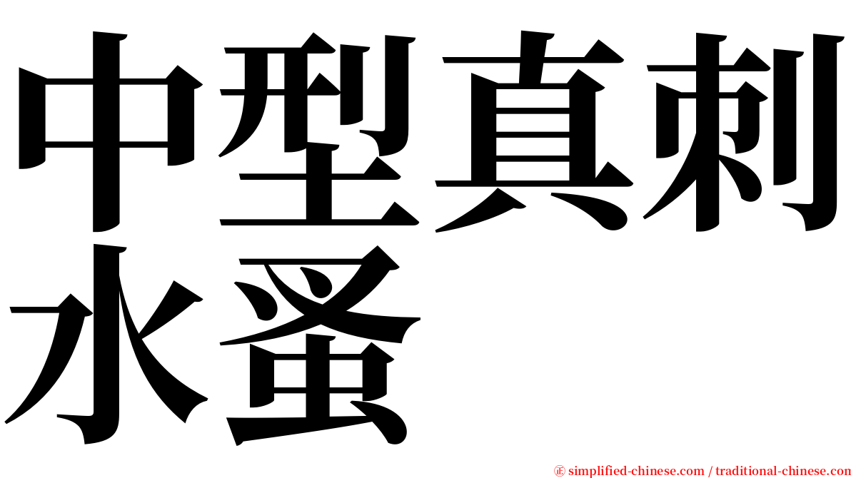 中型真刺水蚤 serif font