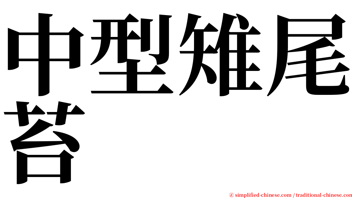 中型雉尾苔 serif font