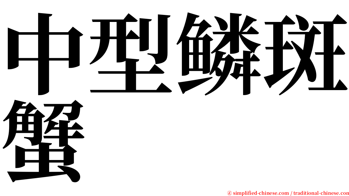 中型鳞斑蟹 serif font