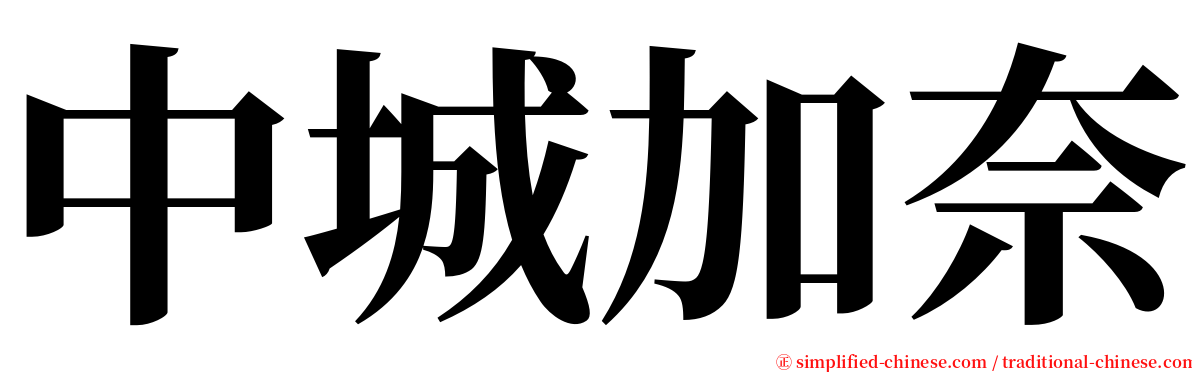 中城加奈 serif font