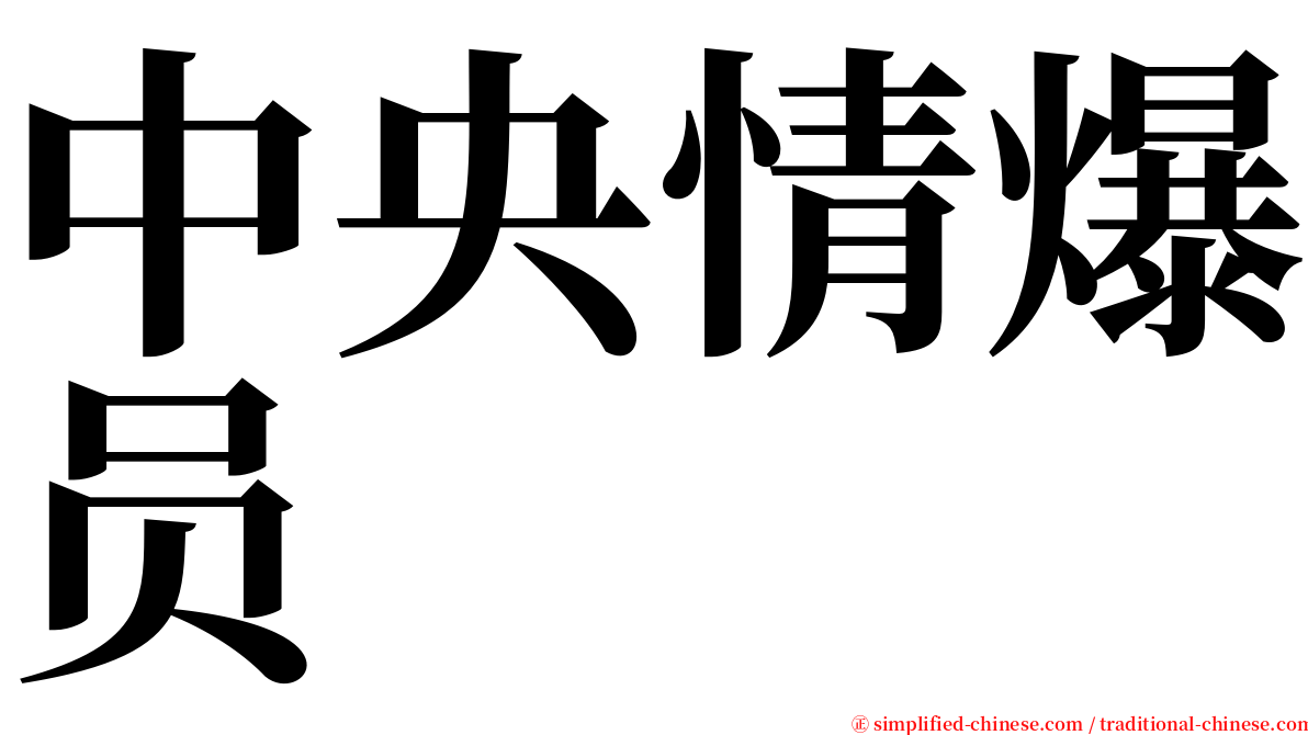 中央情爆员 serif font