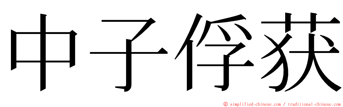 中子俘获 ming font