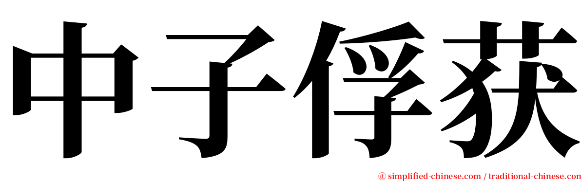 中子俘获 serif font