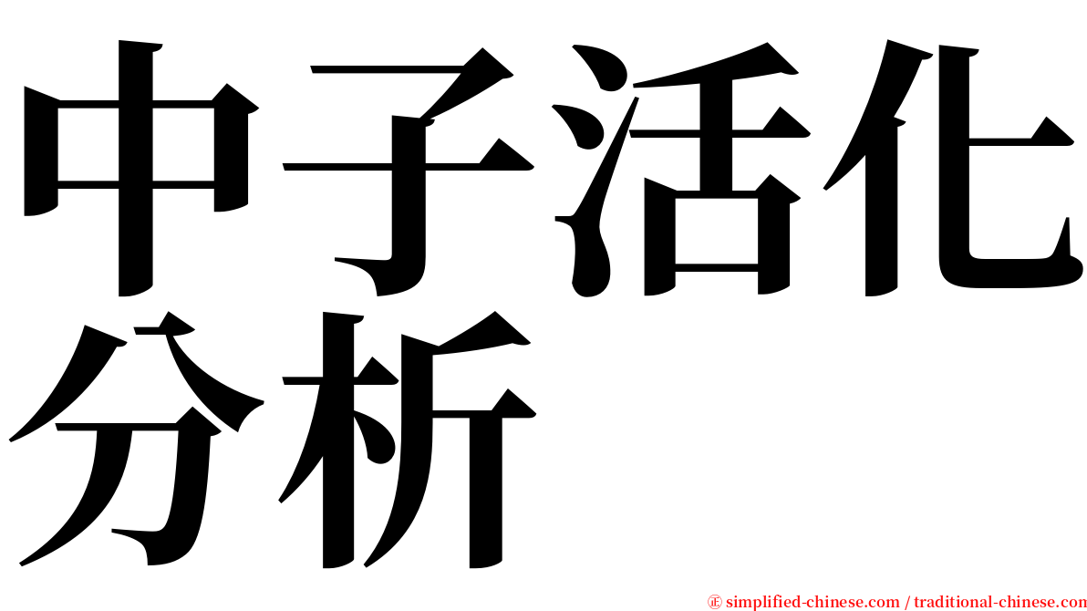 中子活化分析 serif font