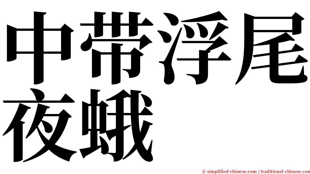 中带浮尾夜蛾 serif font