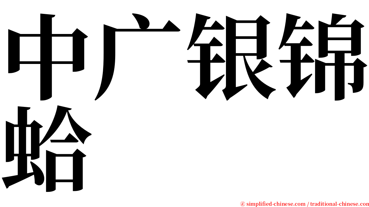中广银锦蛤 serif font