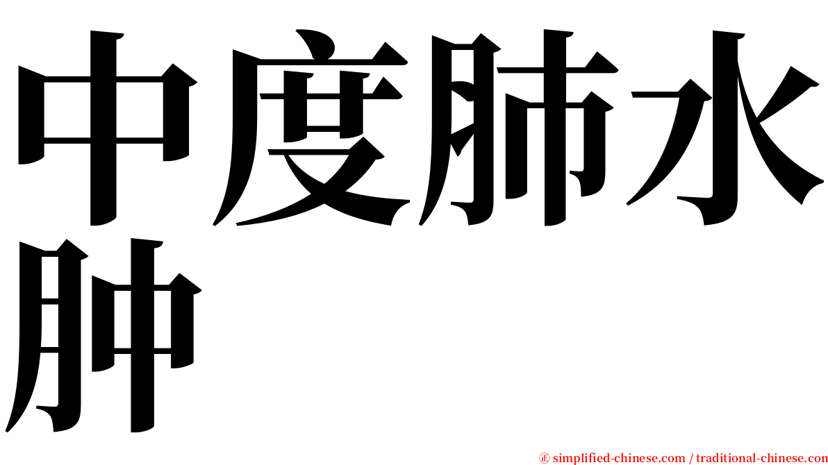 中度肺水肿 serif font