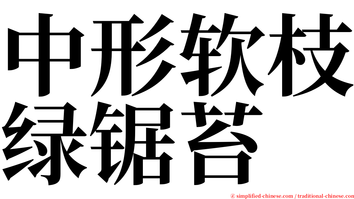 中形软枝绿锯苔 serif font