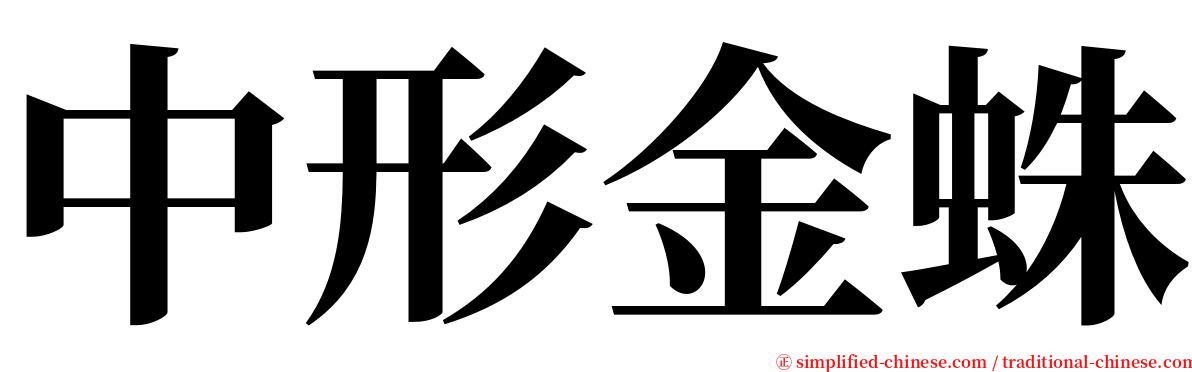 中形金蛛 serif font