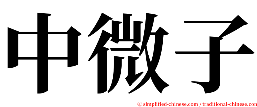 中微子 serif font