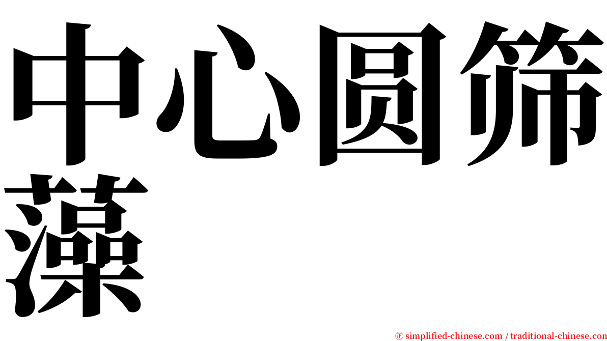 中心圆筛藻 serif font