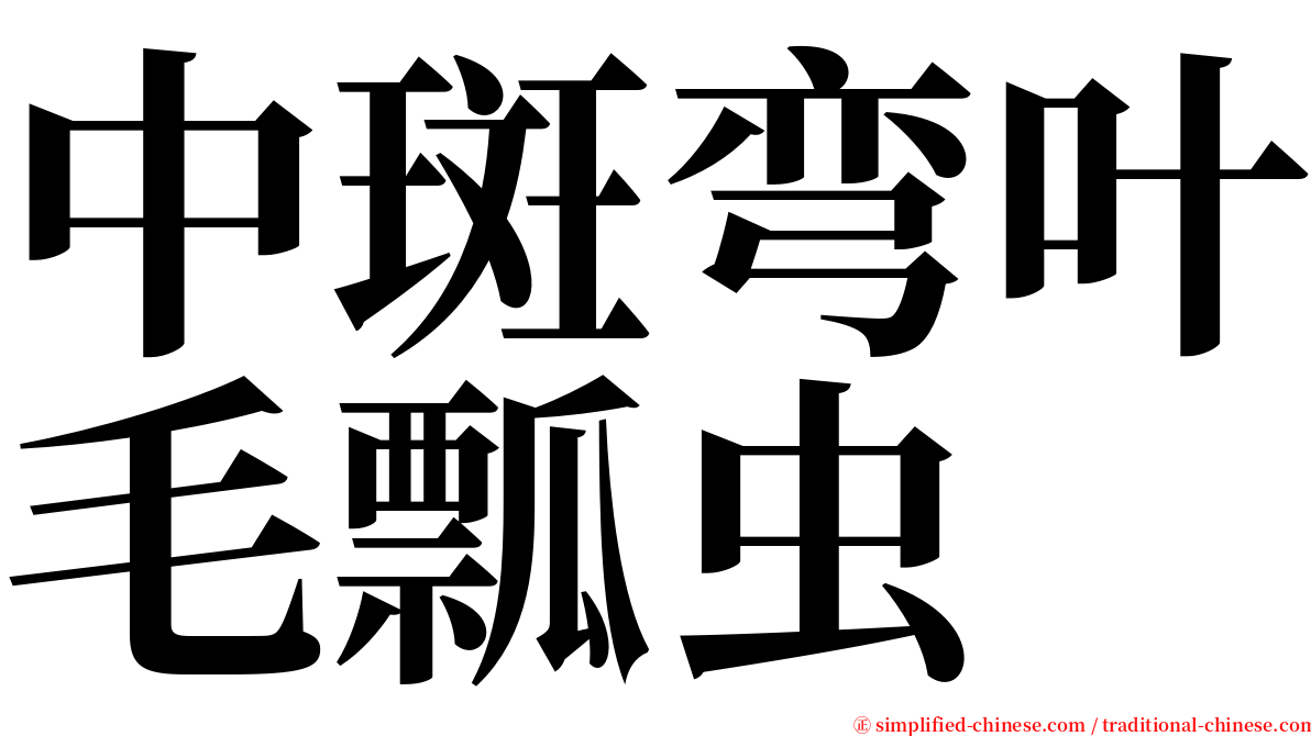 中斑弯叶毛瓢虫 serif font