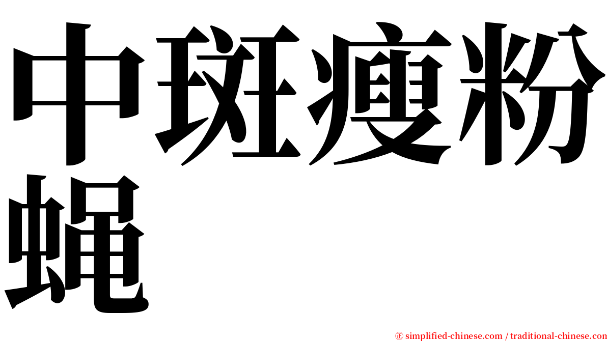 中斑瘦粉蝇 serif font