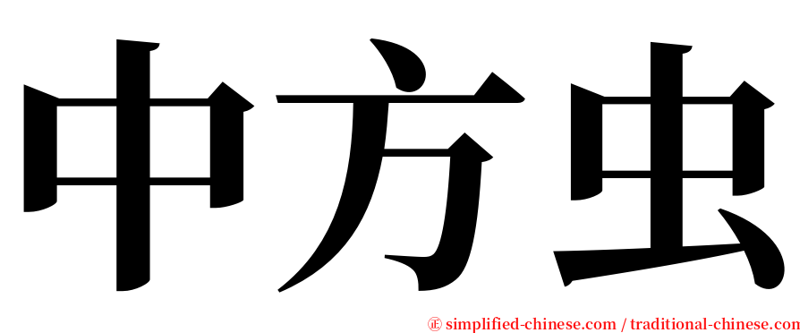 中方虫 serif font