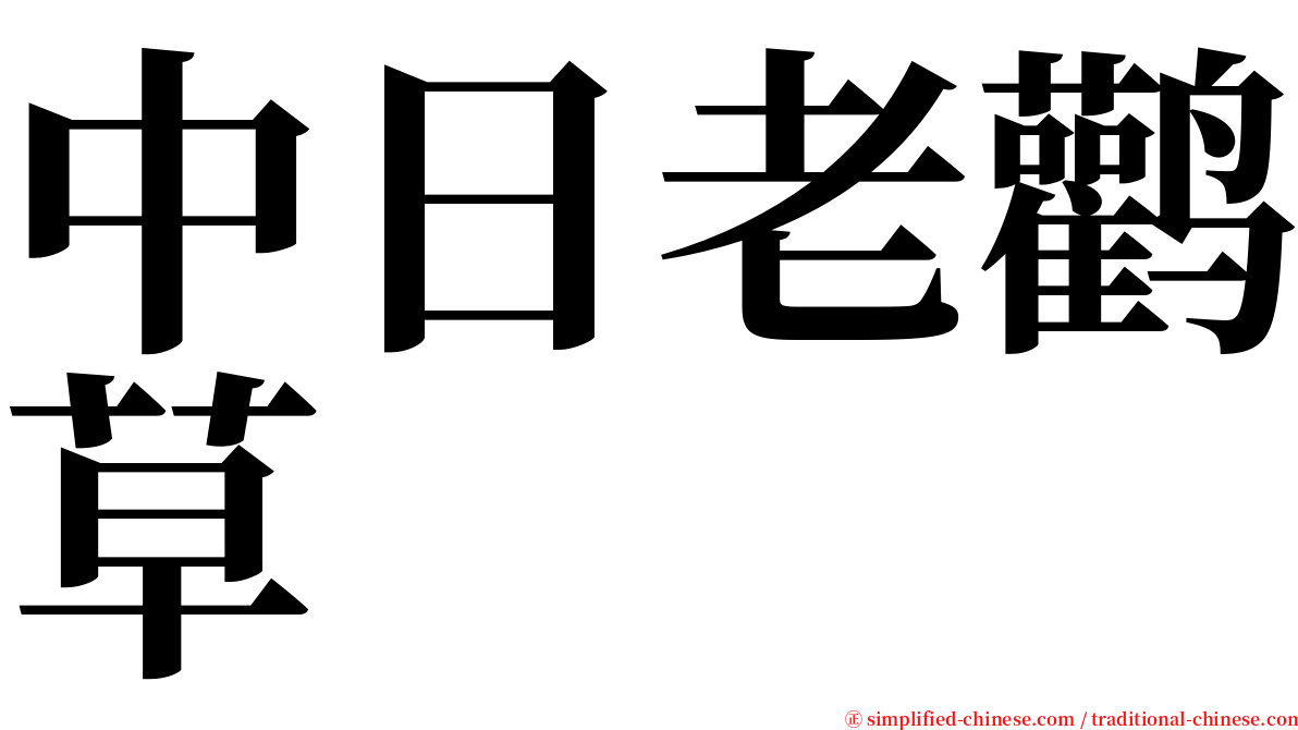 中日老鹳草 serif font