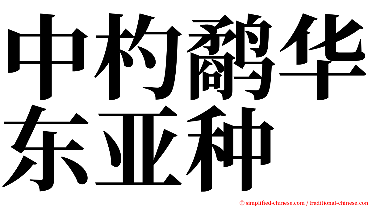 中杓鹬华东亚种 serif font