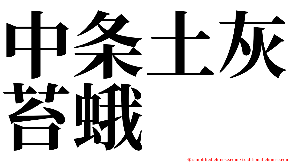 中条土灰苔蛾 serif font