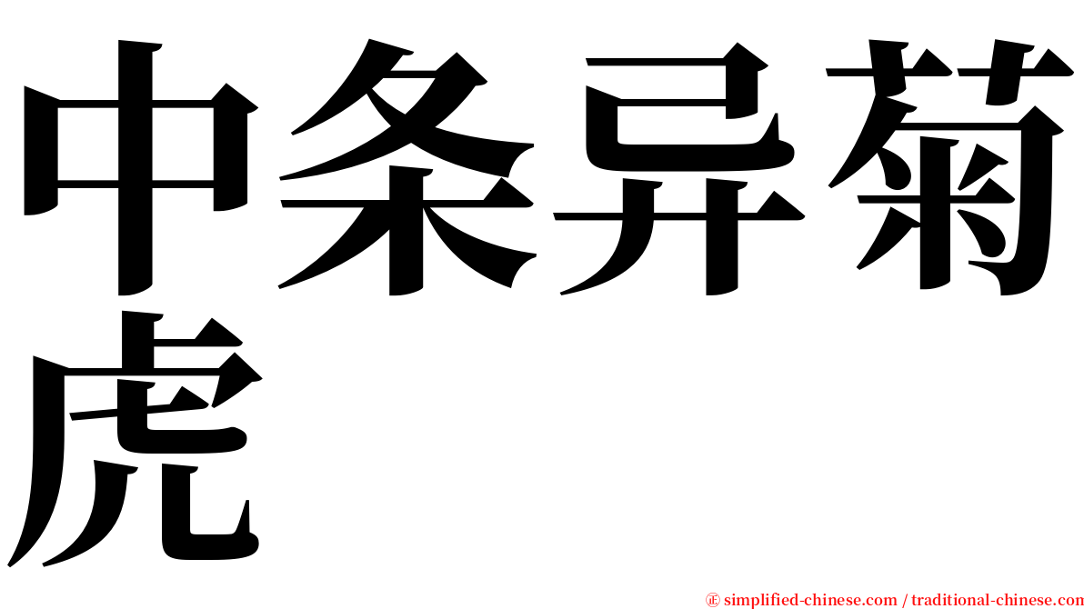 中条异菊虎 serif font
