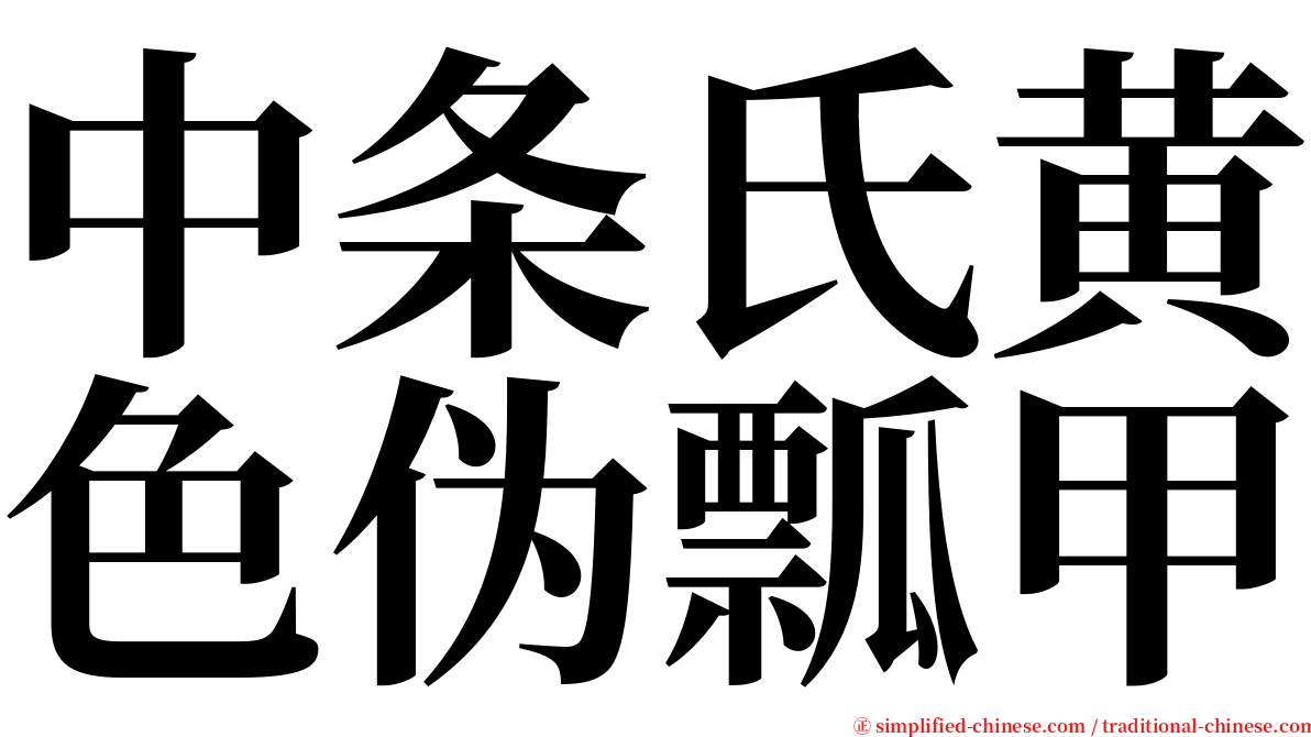 中条氏黄色伪瓢甲 serif font