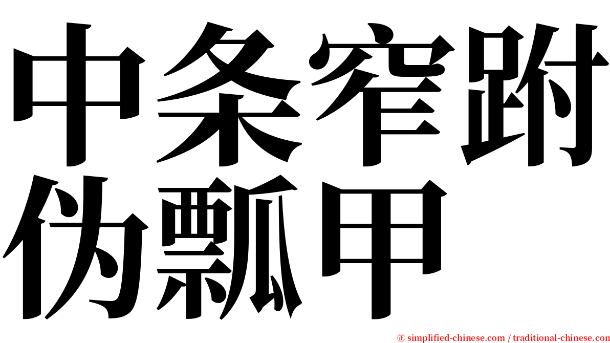 中条窄跗伪瓢甲 serif font