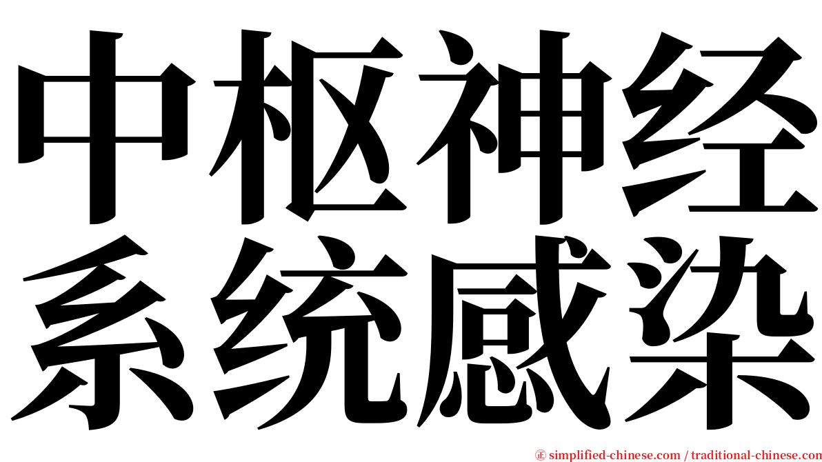 中枢神经系统感染 serif font