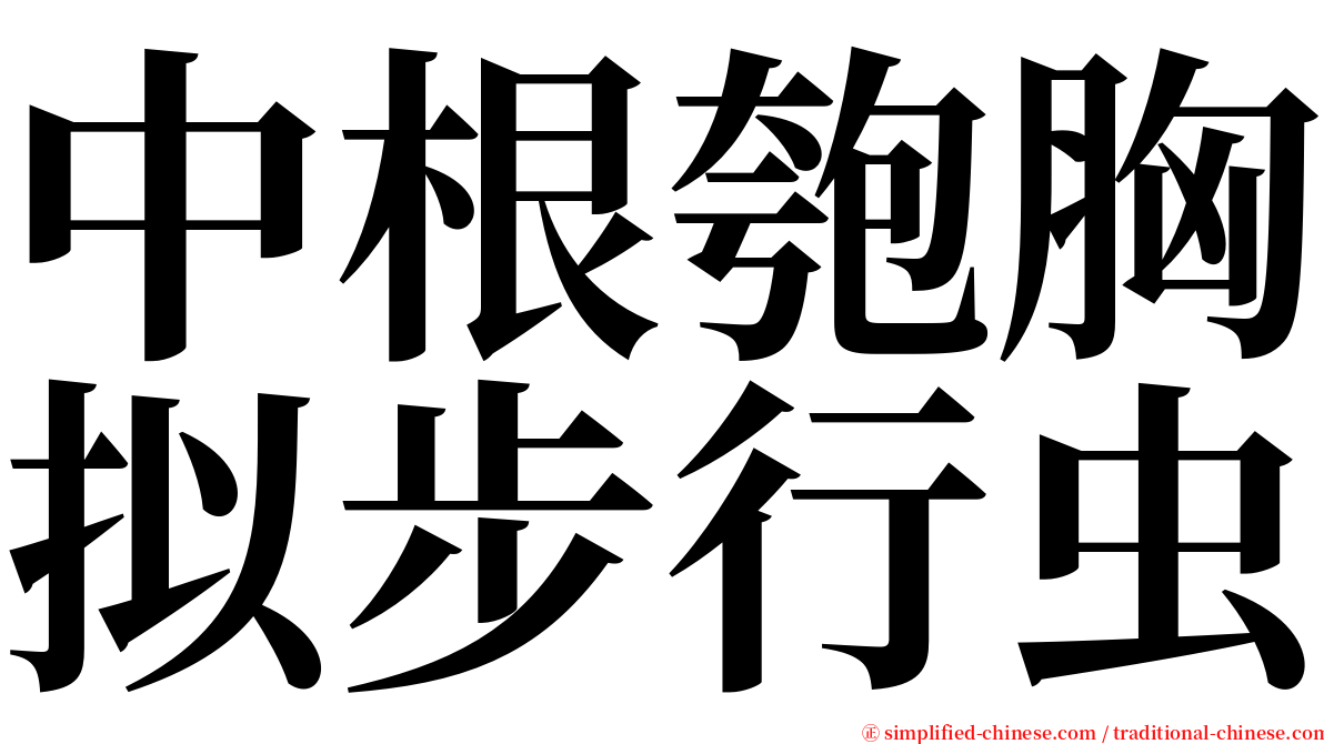 中根匏胸拟步行虫 serif font