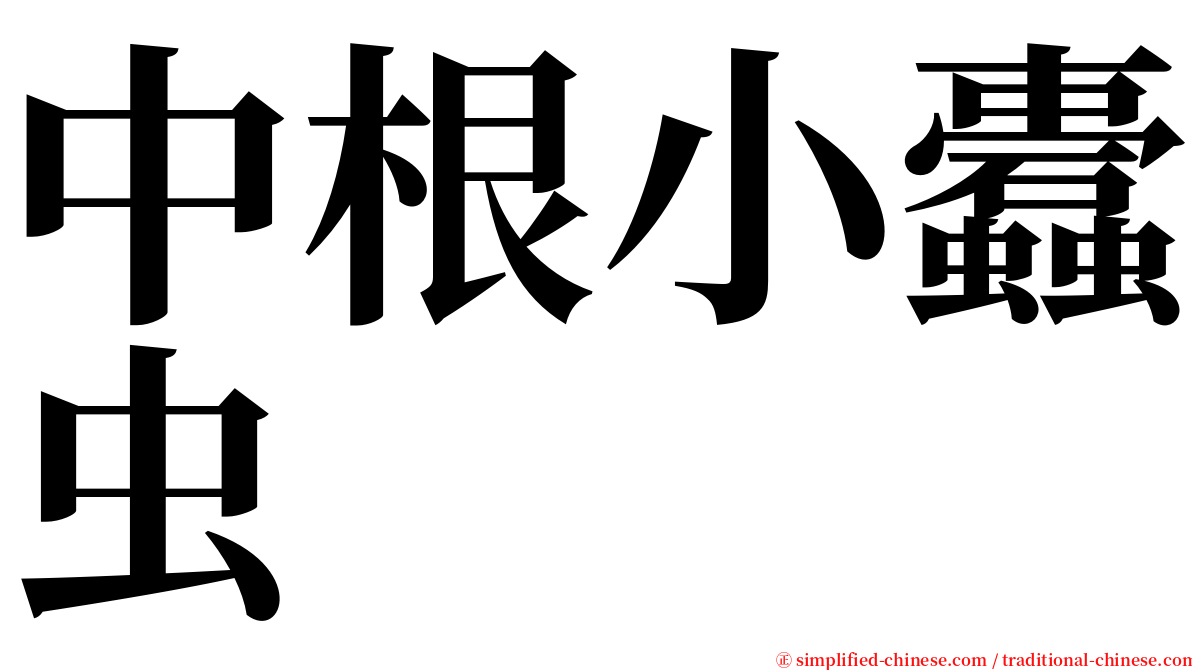 中根小蠹虫 serif font